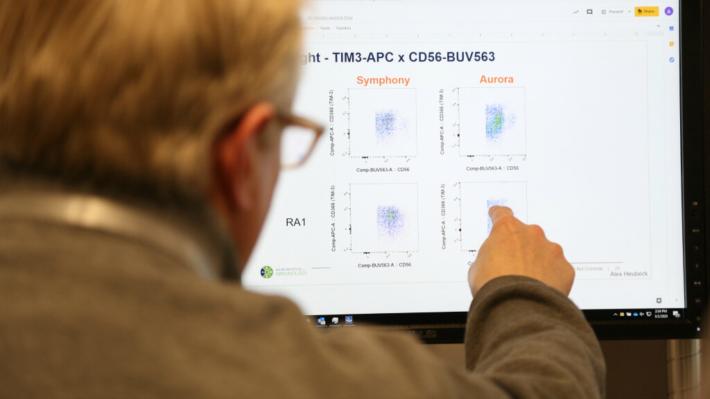 Scientist viewing flow cytometry data visualization for TIM3-APC x CD56-BUV563 analysis on monitor