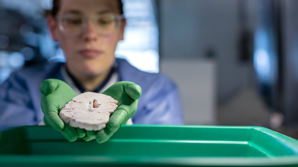 Person wearing green gloves holding ceramic material over green container