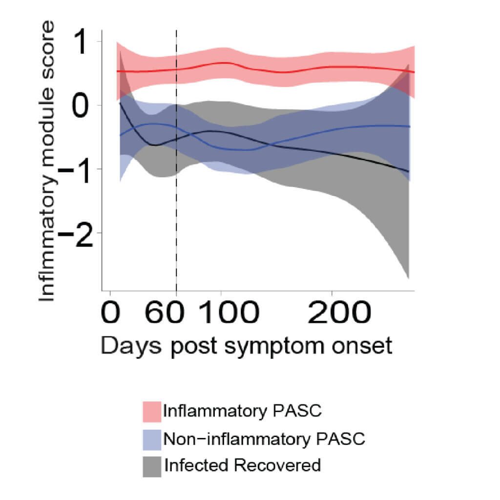 Inflammatory module score trends across three PASC categories over 240 days post symptom onset