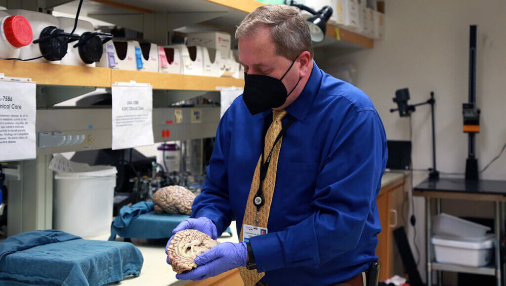 Man in blue shirt examining brain specimens in laboratory setting with scientific equipment.