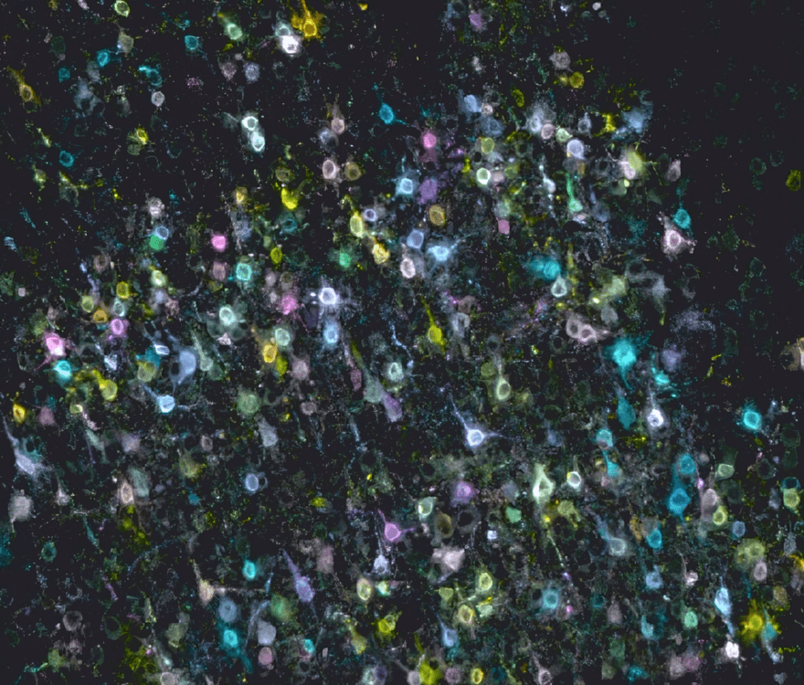 Colorful glowing particles and cells scattered across dark background with neon lights