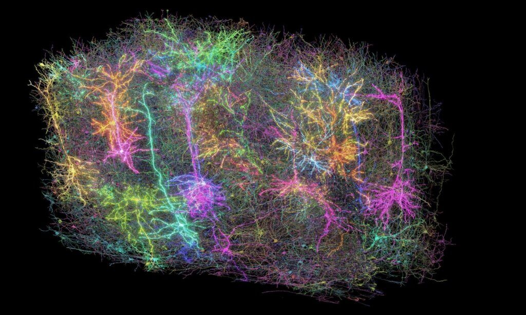 Colorful neon neural network or brain structure glowing against black background