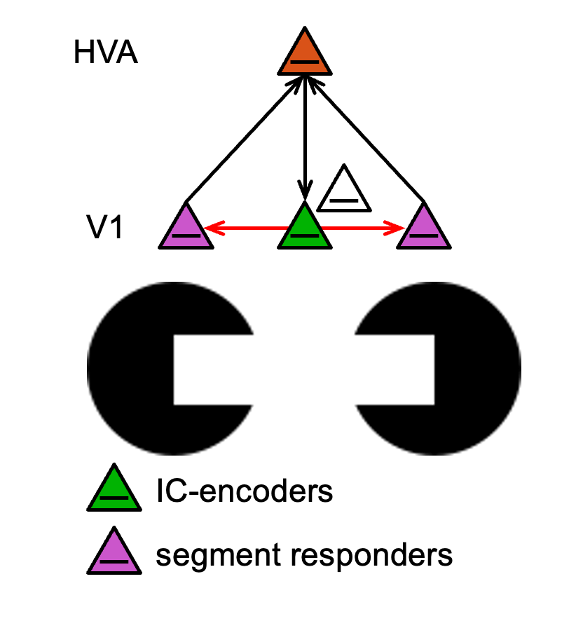 HVA network diagram showing IC-encoders and segment responders connected to parent node.