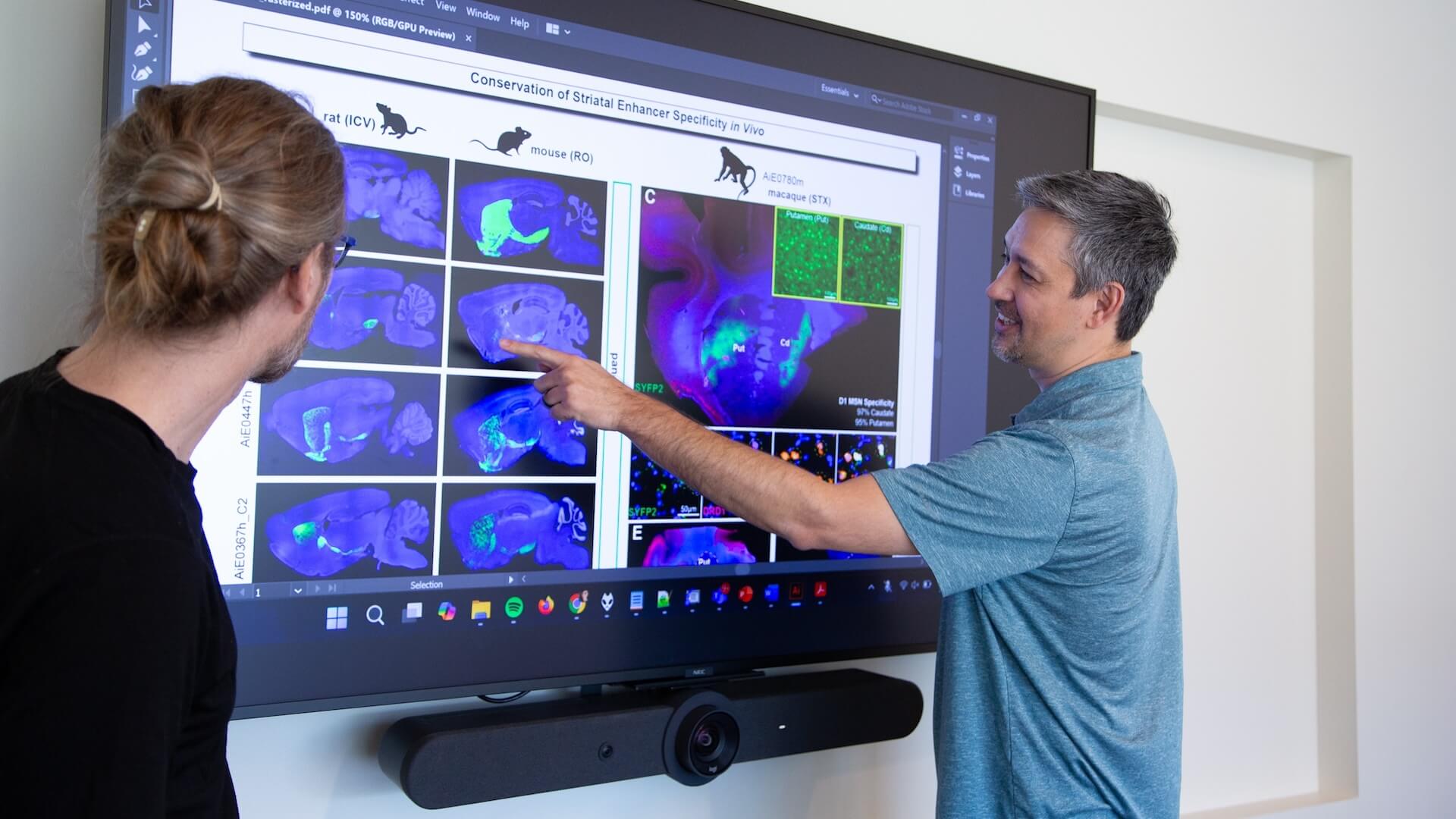 Two researchers discussing brain scan images on a large display screen showing striatal enhancer specificity research.