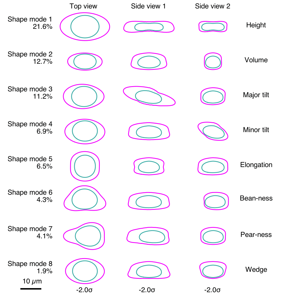 Eight shape modes shown in top, side view 1, and side view 2 demonstrating particle morphologies.