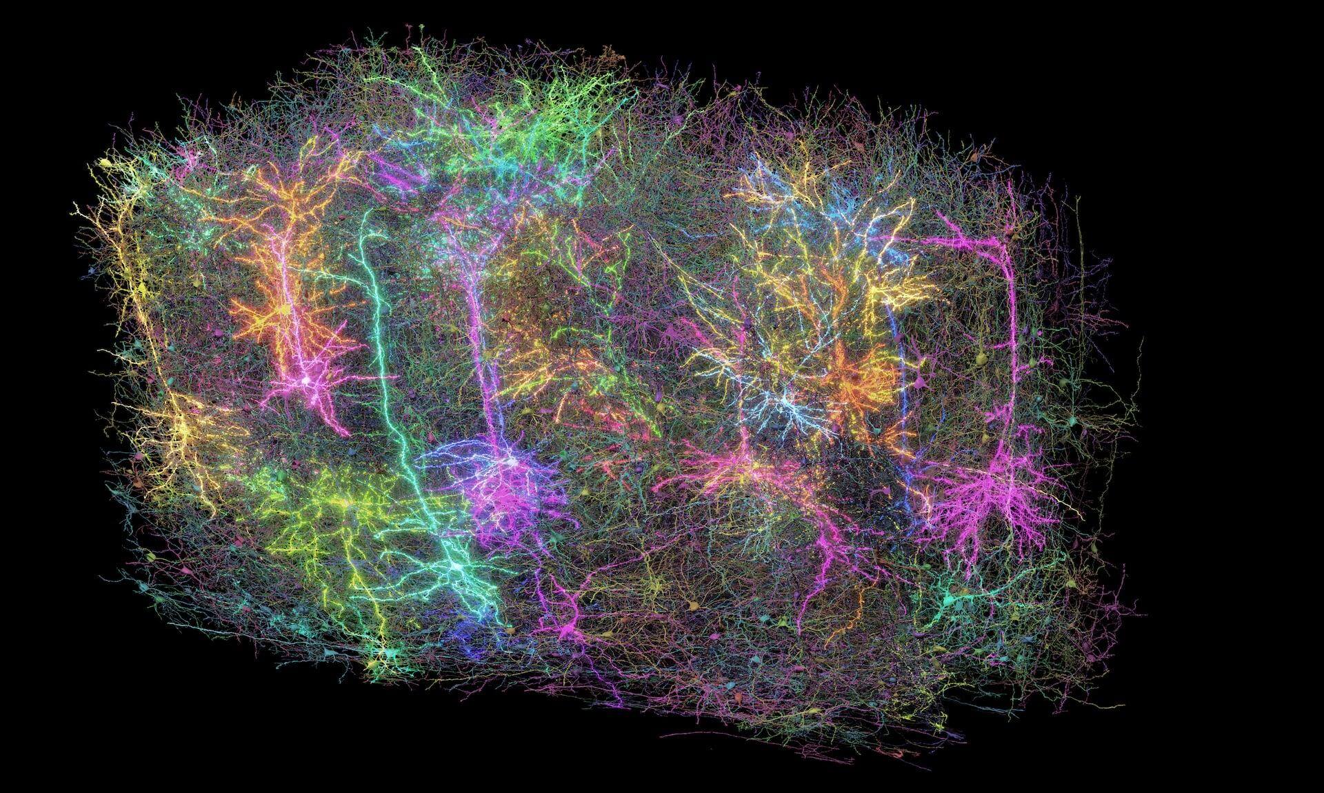 Vibrant neon network of interconnected glowing lines and nodes on black background