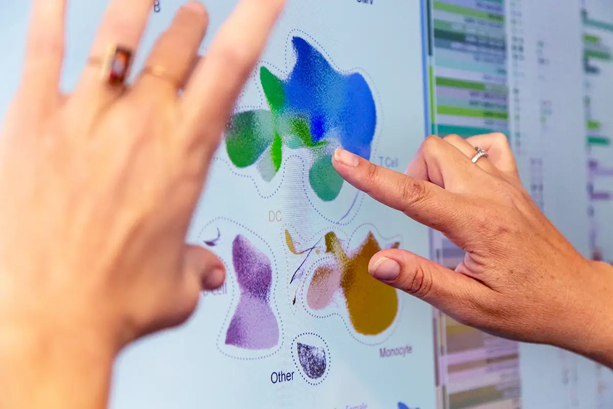 Person pointing at colorful data visualization chart with blue, green, and purple shapes on screen