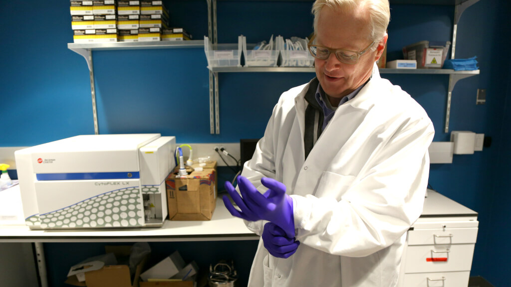 Scientist in white lab coat and purple gloves working in laboratory with equipment