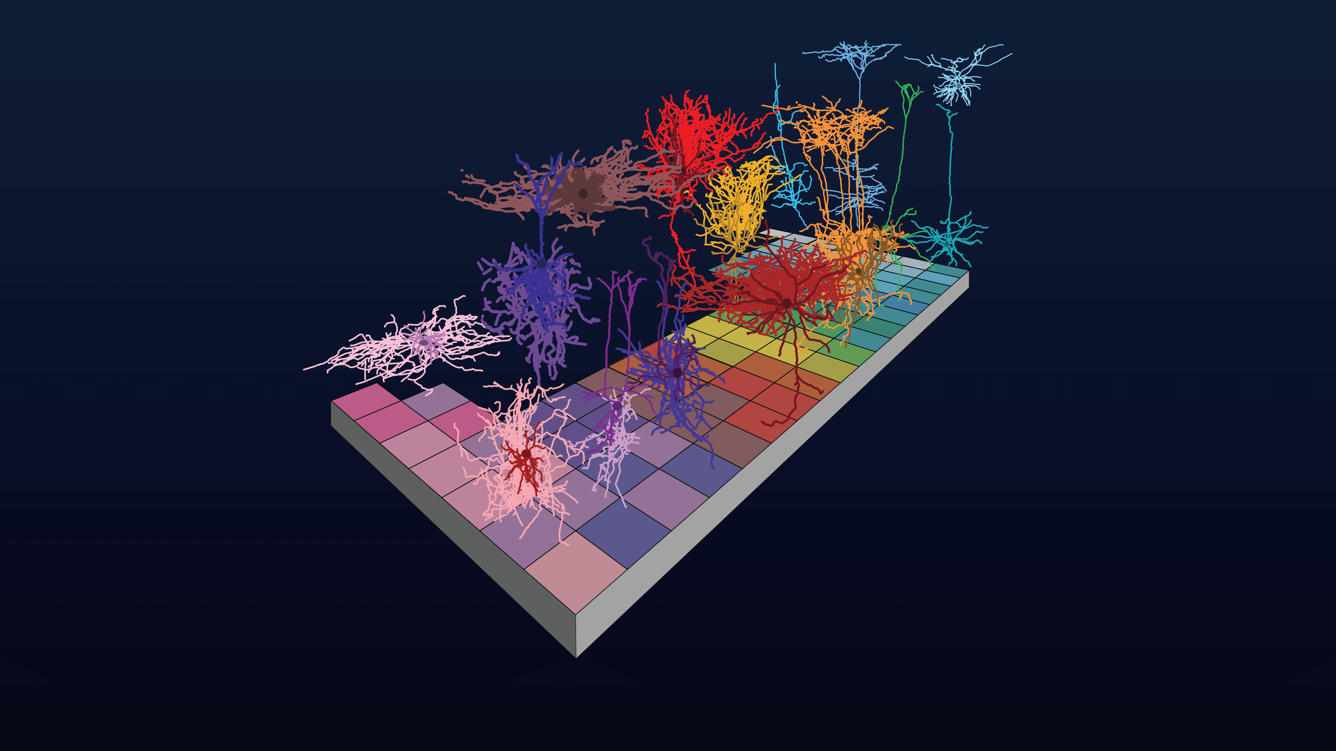 Colorful neural network visualization with branching patterns on gradient grid surface.