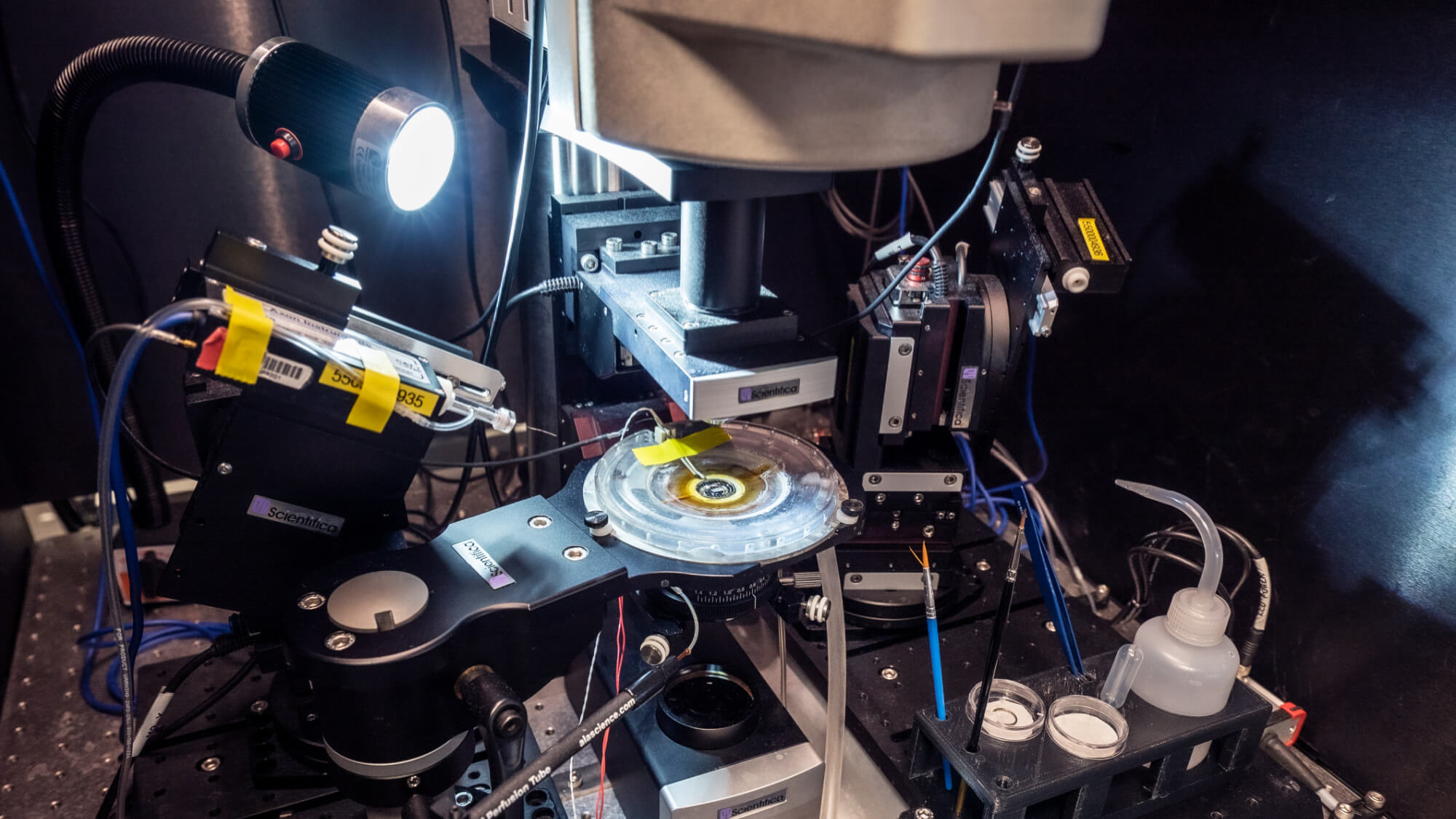 Scientific microscopy setup with illuminated optical equipment and sample preparation components