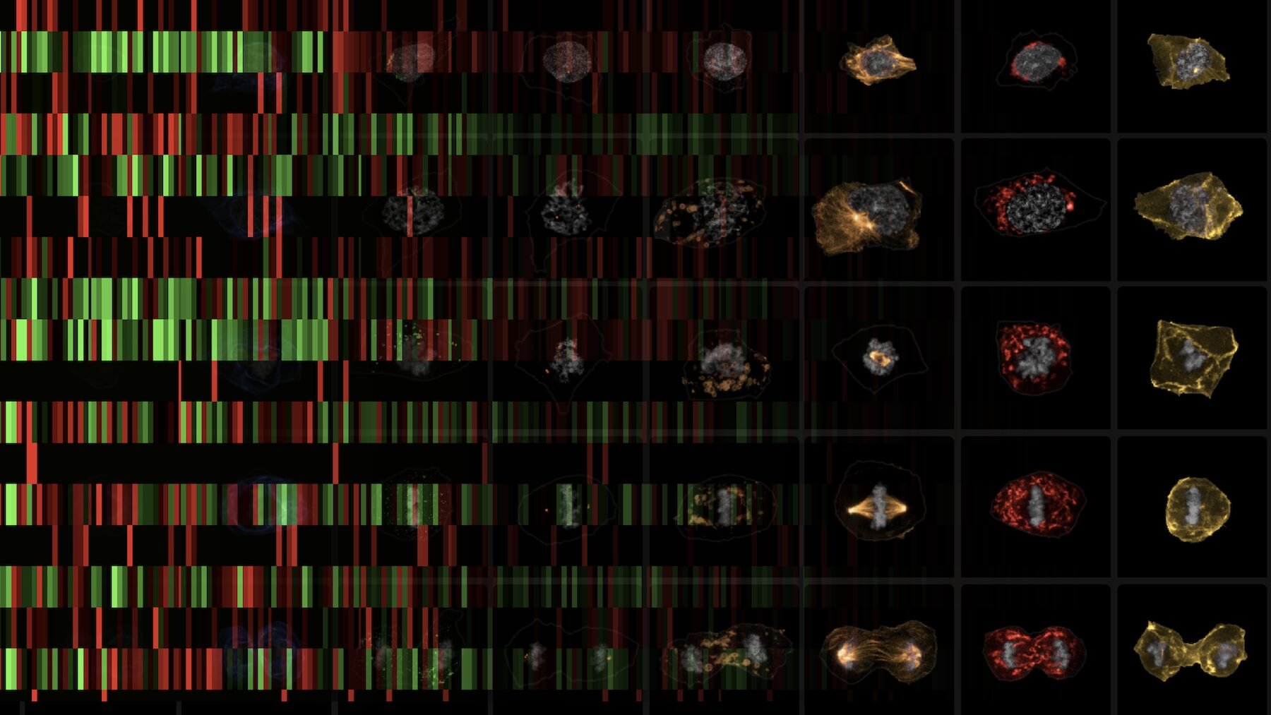 DNA sequencing data visualized with gene expression heatmap and astronomical galaxy images.