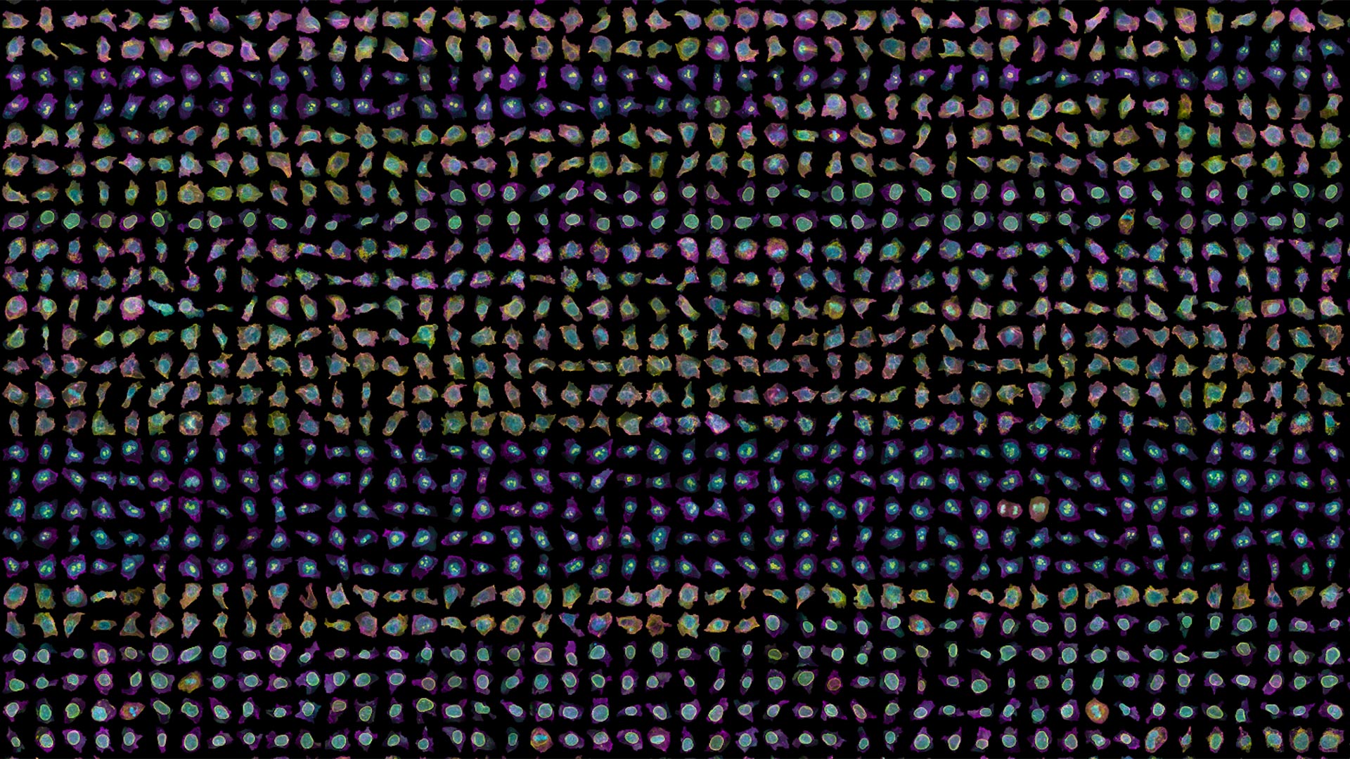 Grid of colorful cells with purple, green, and pink hues on dark background