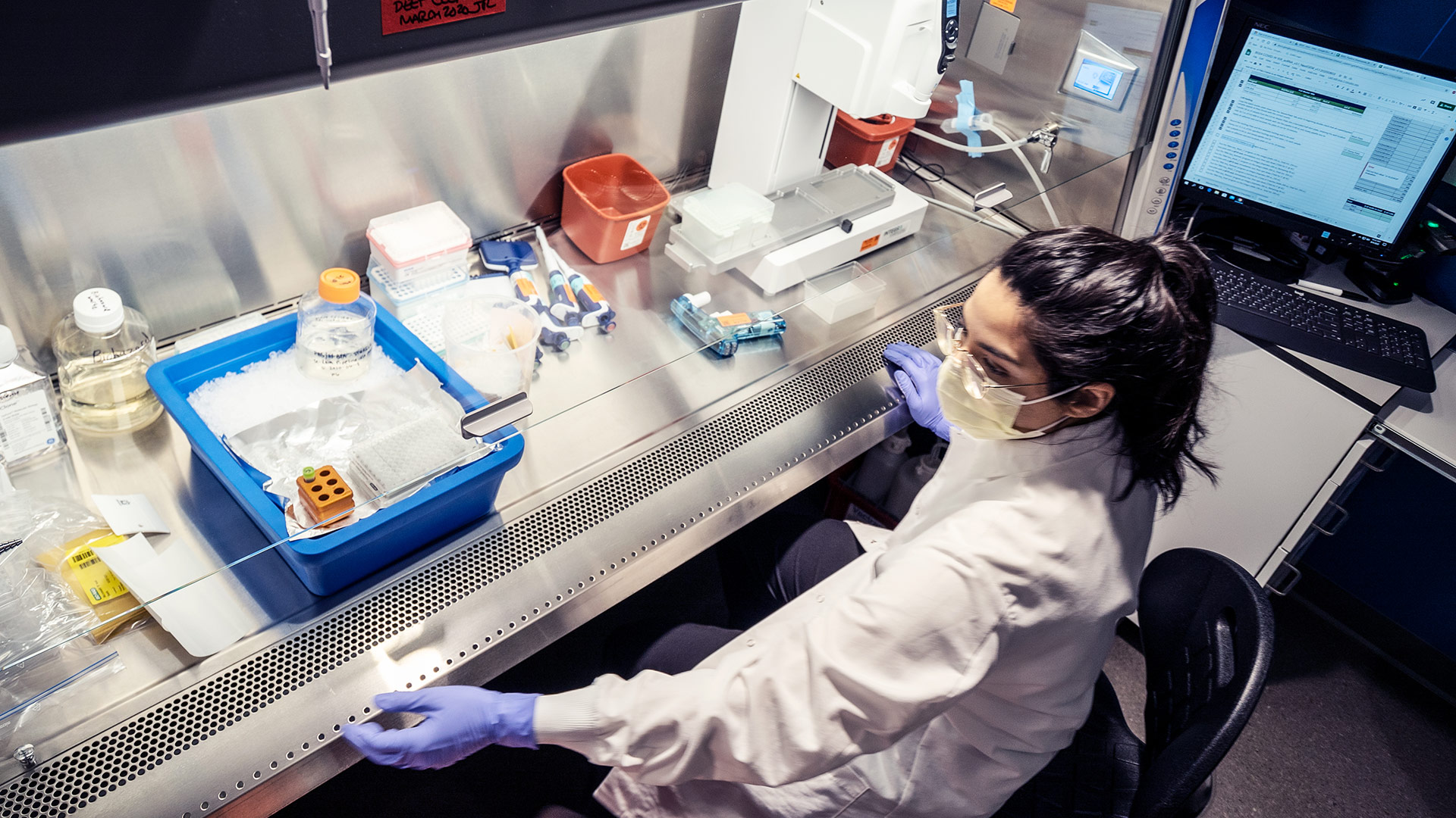 Lab technician working in biosafety cabinet with scientific equipment and supplies