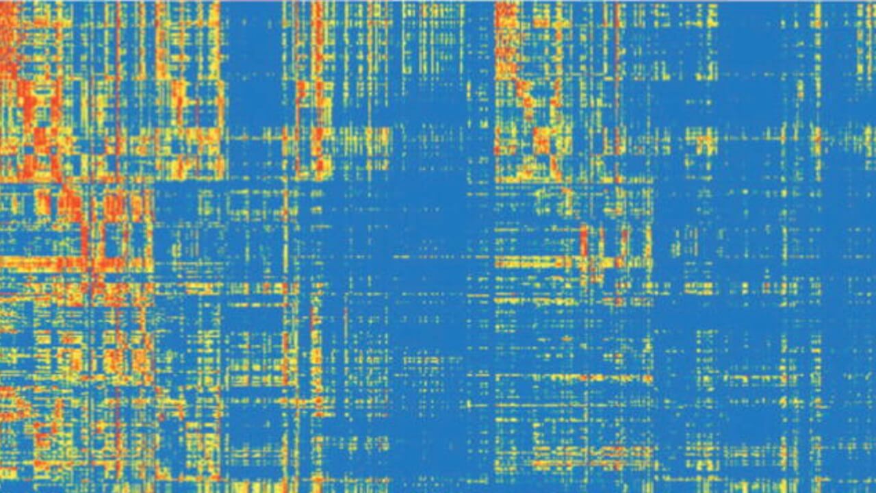 Data visualization from connectome publication in Nature