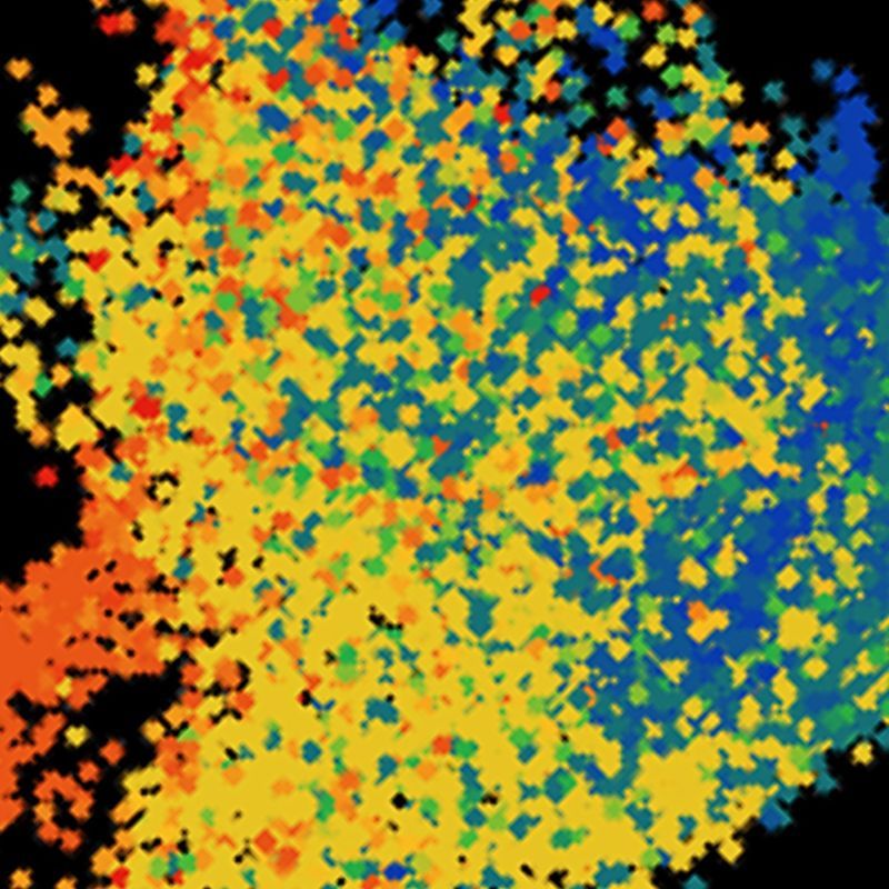 A new high-resolution, 3D map of the whole mouse brain - Allen Institute