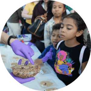 Children examining sand and shells during educational science exploration activity.
