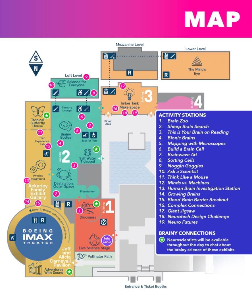 Museum floor map showing brain-themed exhibits and activity stations with numbered locations.