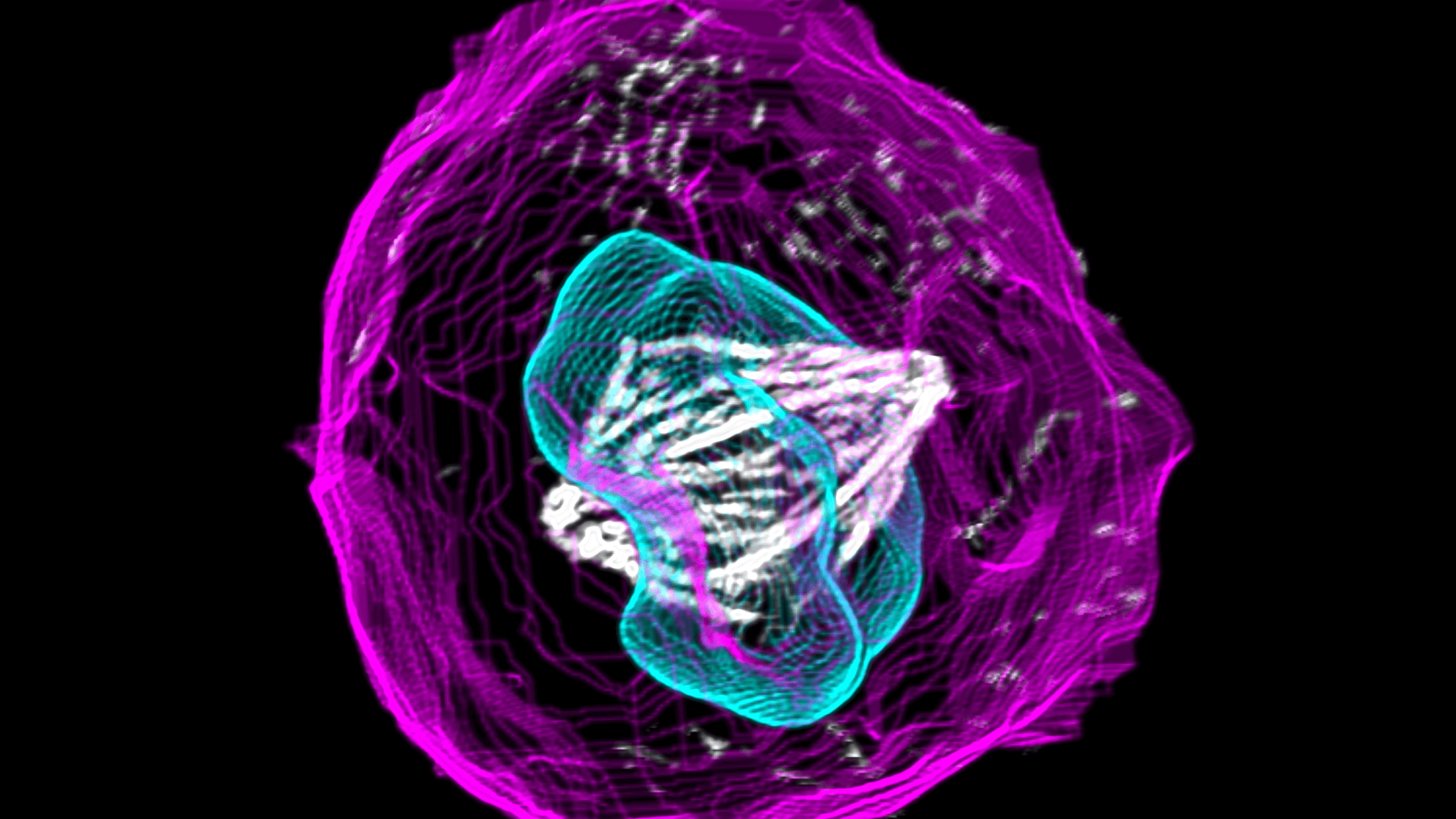 Abstract neon 3D structure with cyan and magenta glowing layers on black background