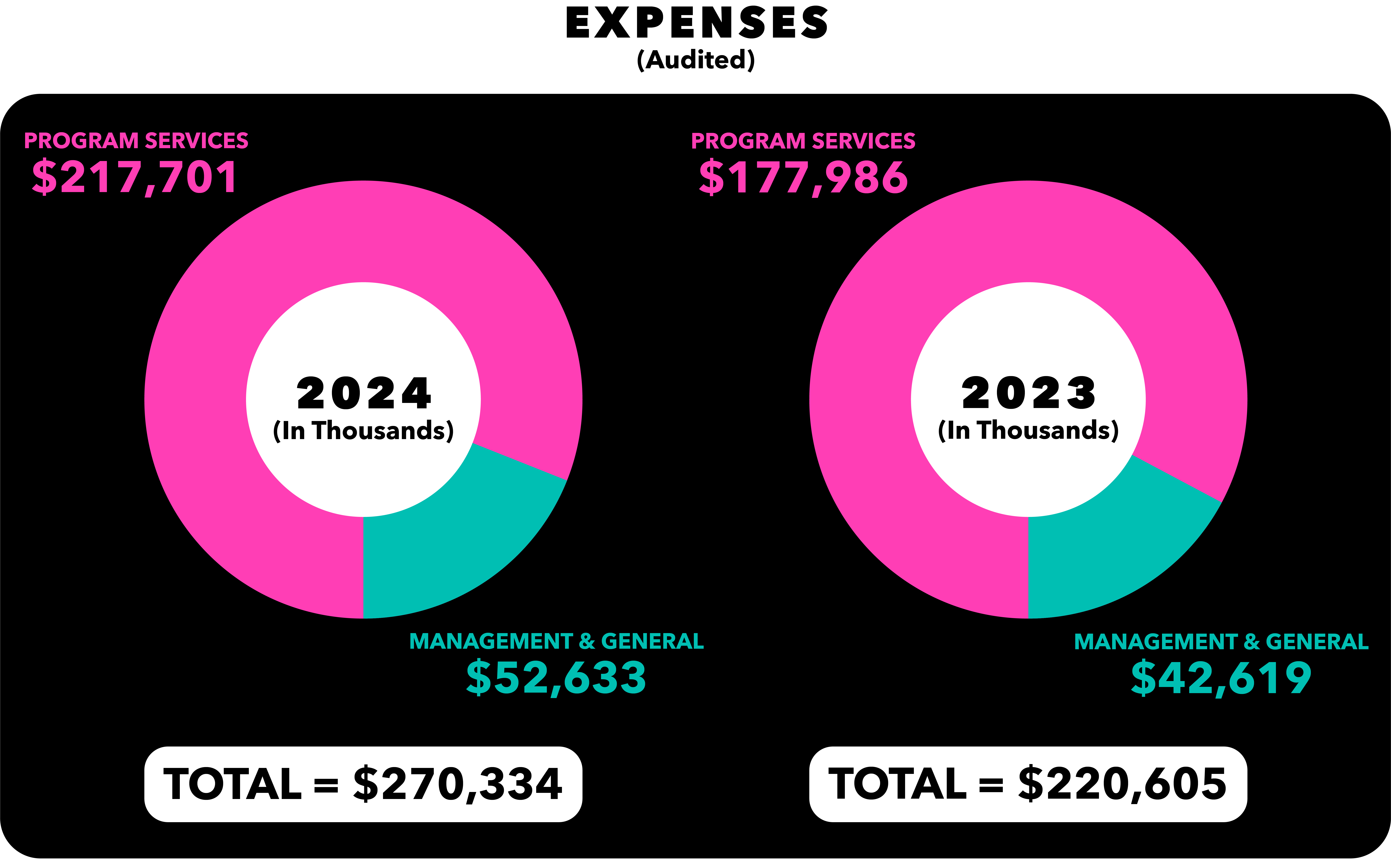 Audited expenses comparison showing 2024 expenses of $270,334 versus 2023 expenses of $220,605.