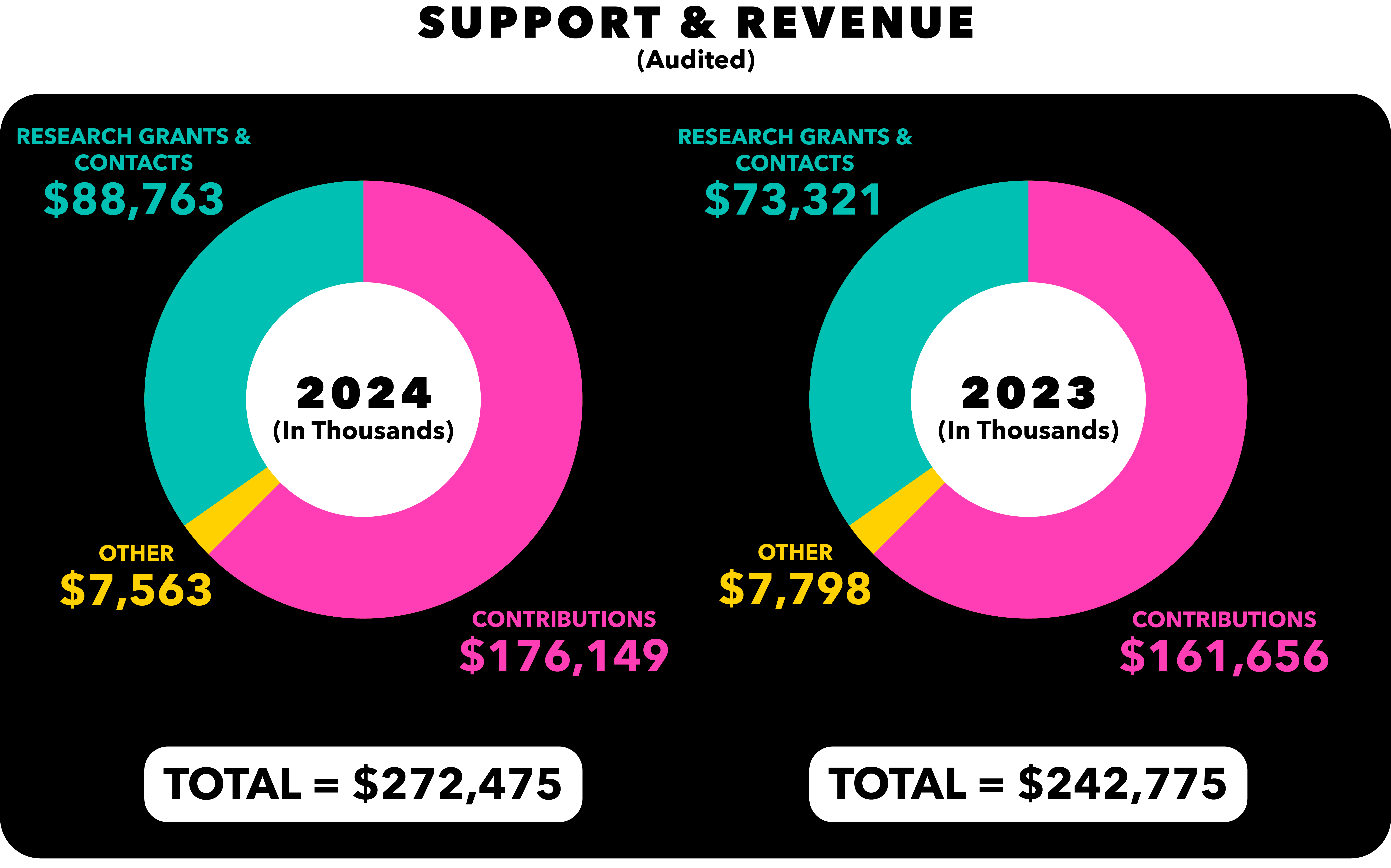 Two donut charts comparing 2024 and 2023 audited support and revenue, including research grants, contributions, and other sources.