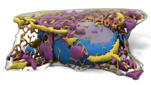 Colorful 3D sculptural pillow-shaped art piece with layered purple, blue, and yellow sections