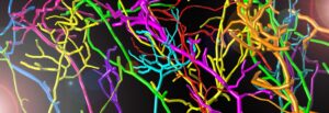 Vibrant neon lines tangled in chaotic pattern of bright pink, green, yellow, and blue colors