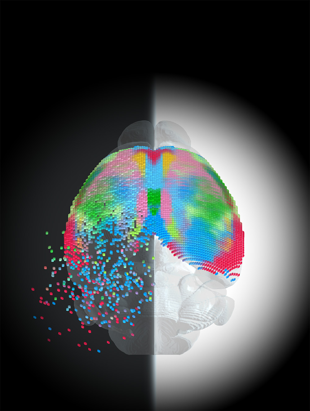 Digitized profile of human face with colorful pixelated brain and dispersing particles against dark background