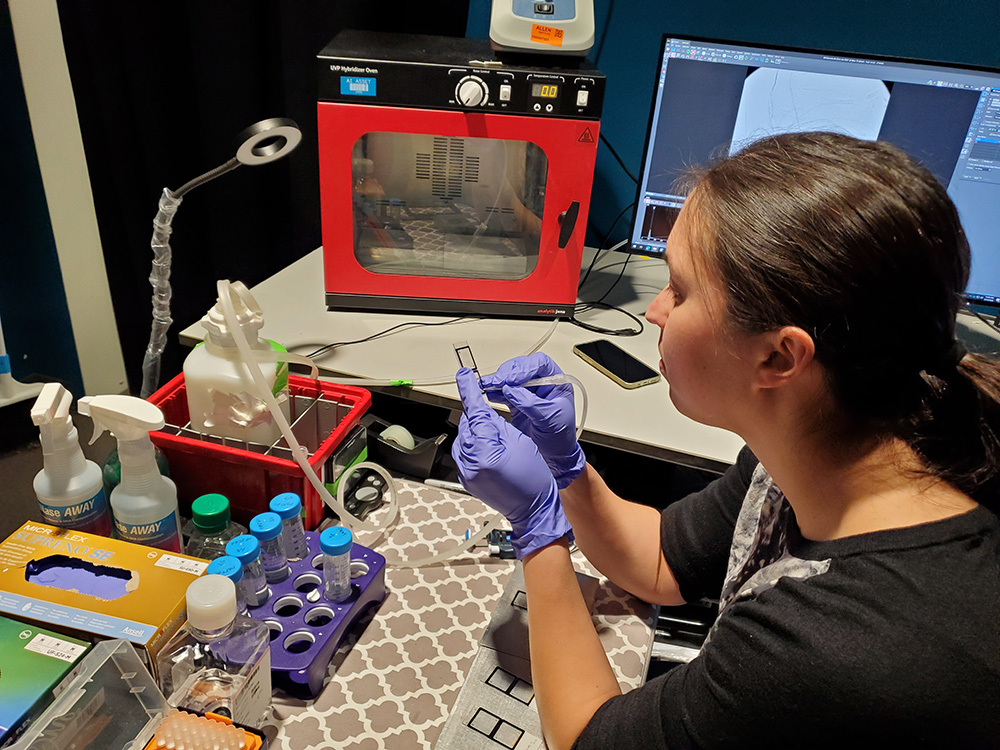 Scientist in lab gloves examining sample in laboratory workspace with equipment and computer.