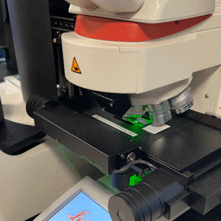 Laboratory microscope with green sample holder and blue illuminated stage