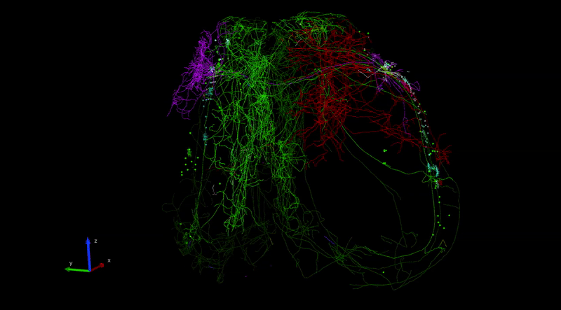 3D neural network visualization with colorful neon green, red, and purple nodes and connections on black background