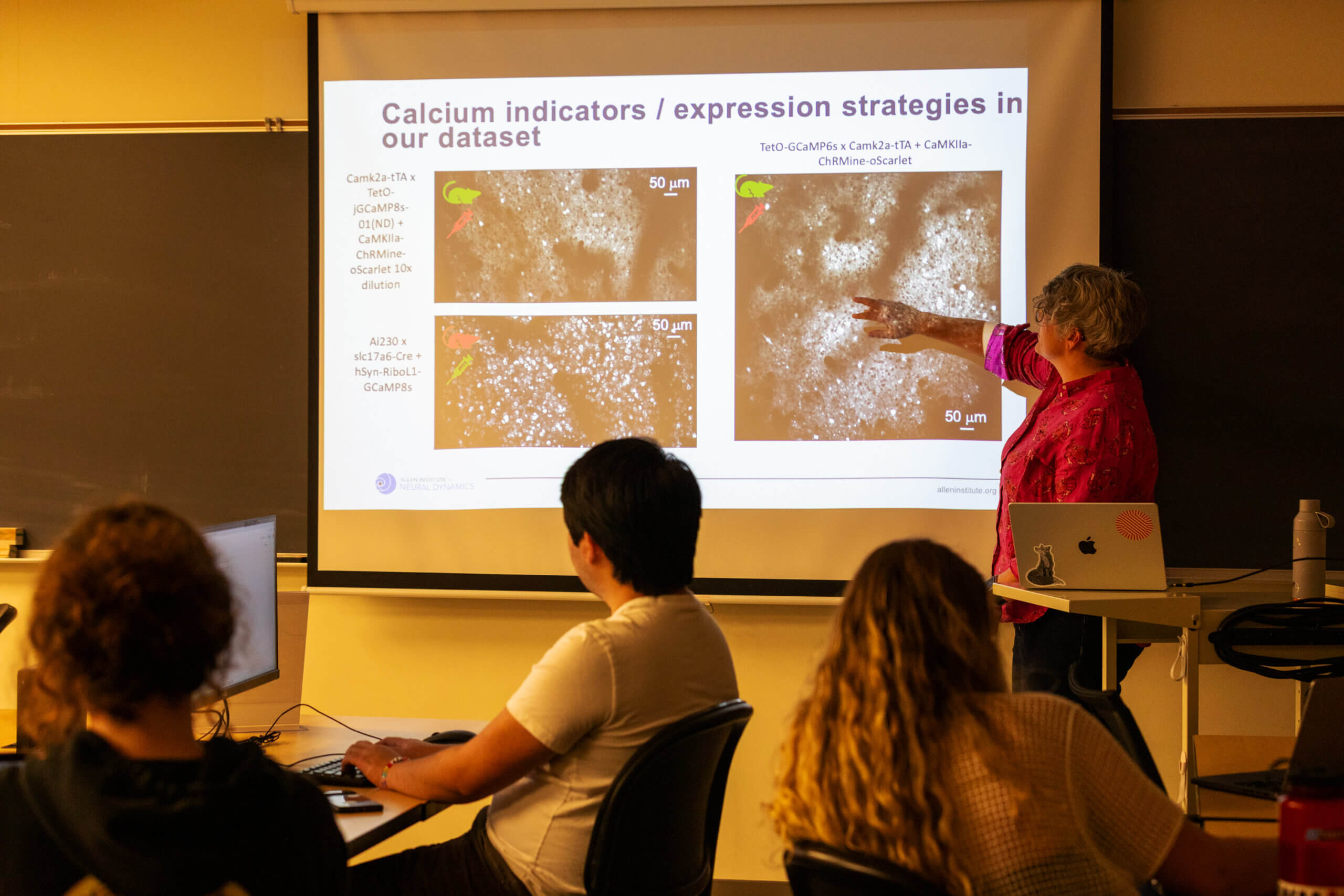 Scientist presenting calcium indicators microscopy images to audience during research seminar