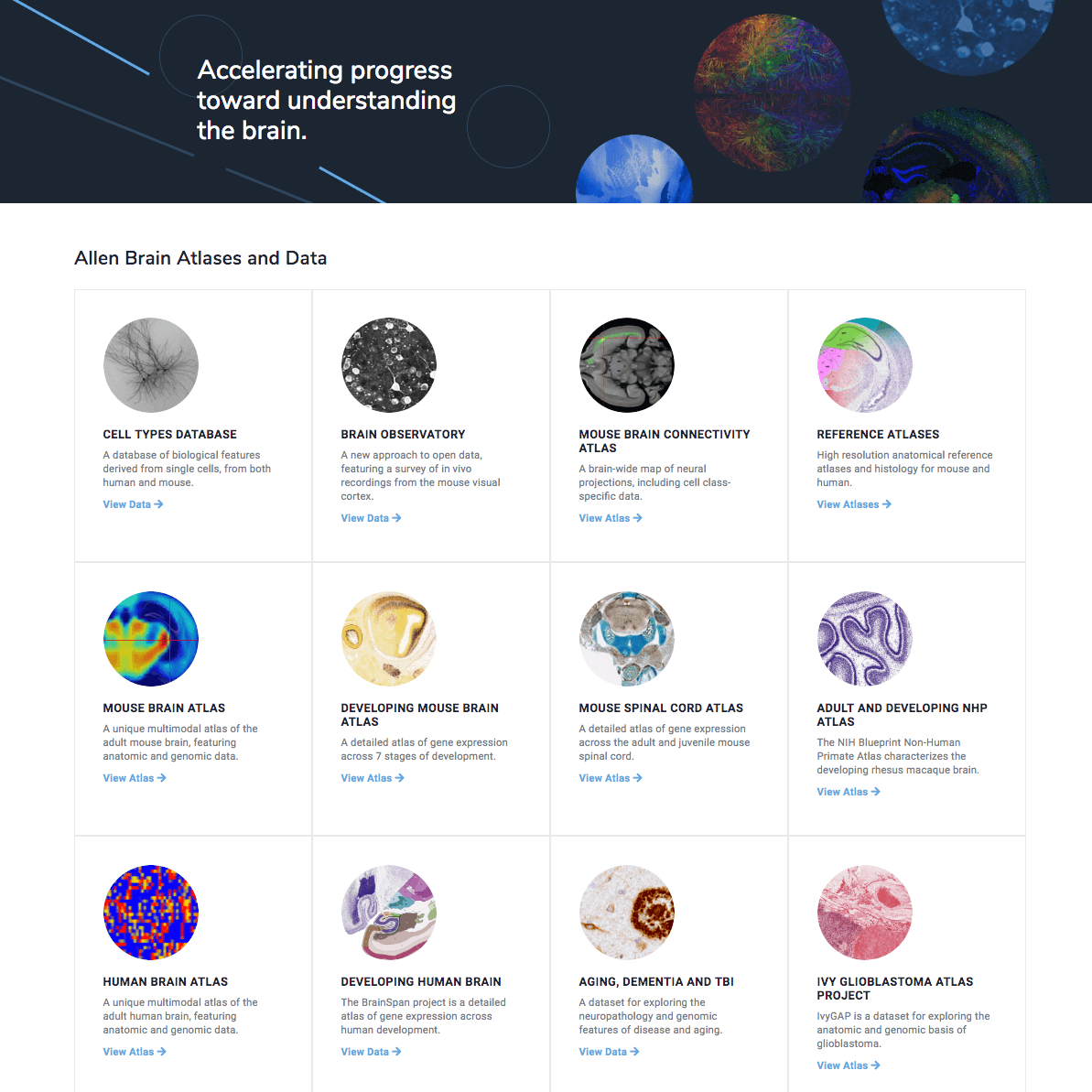 Allen Brain Atlases and Data showcase cell types, brain connectivity, and neural mapping resources.