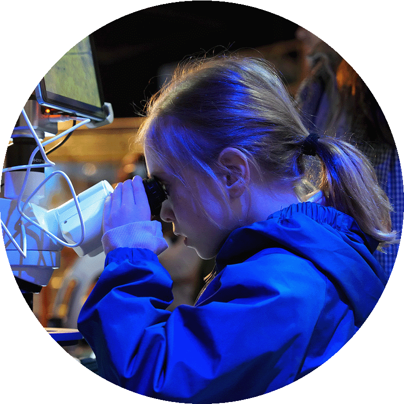 child looking through a microscope