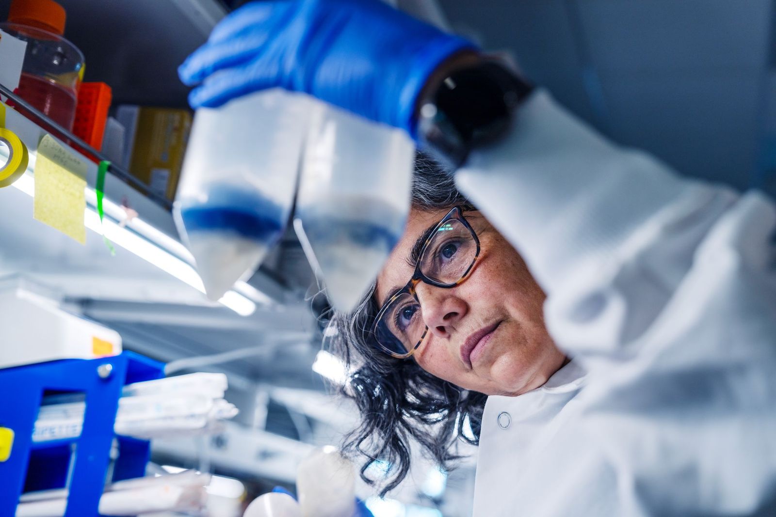 Scientist wearing glasses and blue gloves working in laboratory with chemical bottles