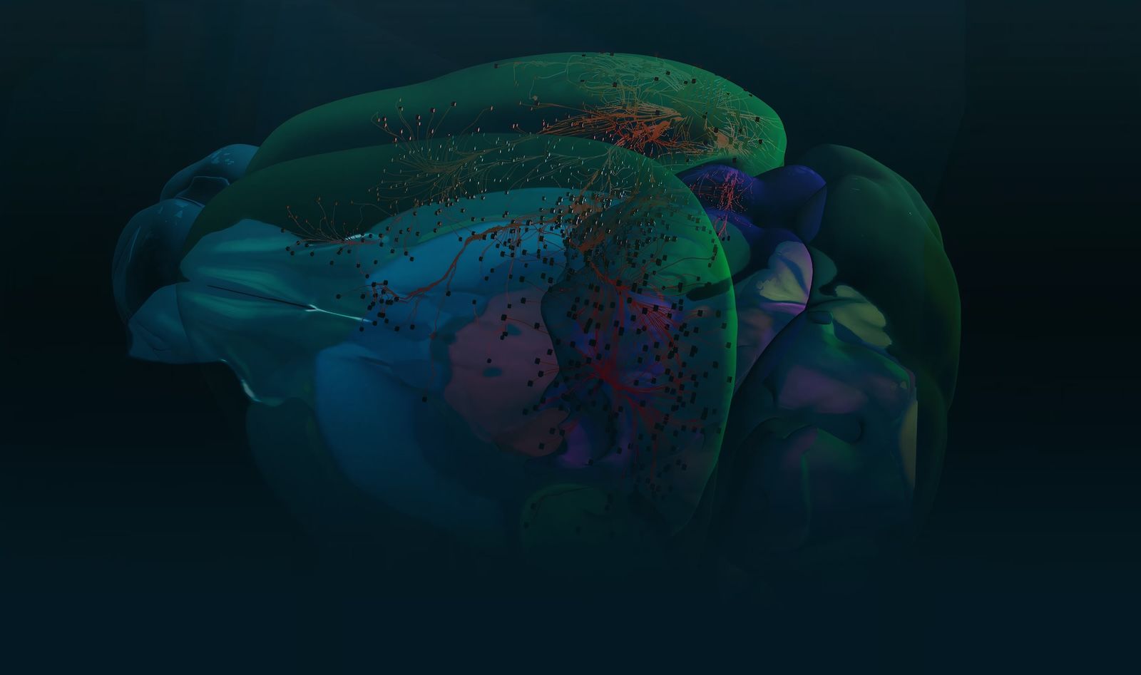 3D visualization of brain neural networks with colorful data particles flowing through tissue