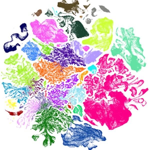 Colorful abstract map showing world regions in vibrant neon colors including magenta, blue, green, and orange.