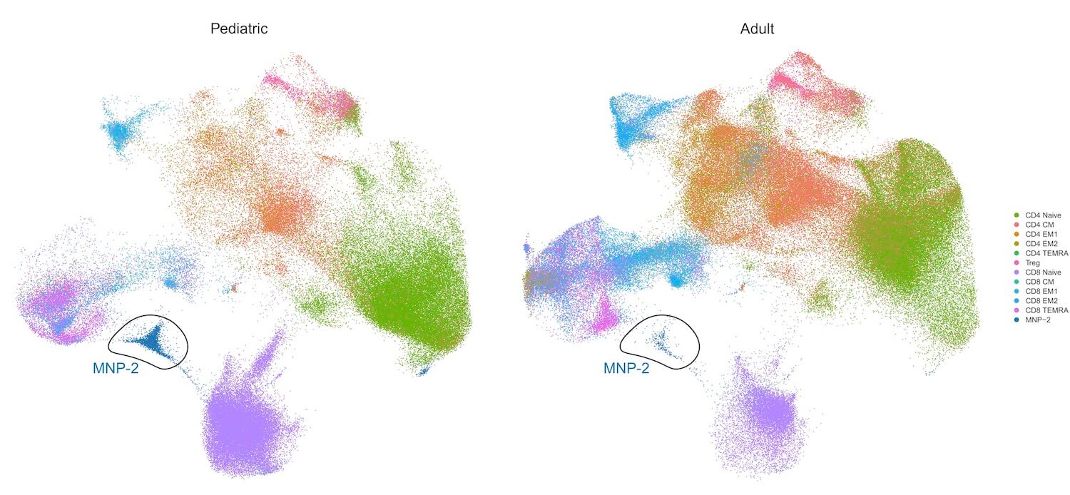 Scatter plot comparing pediatric and adult immune cell populations by type with color coding