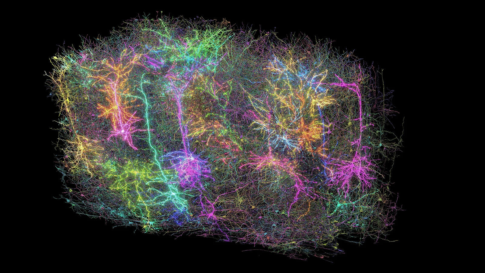 Colorful neon neural network visualization with branching lines on black background