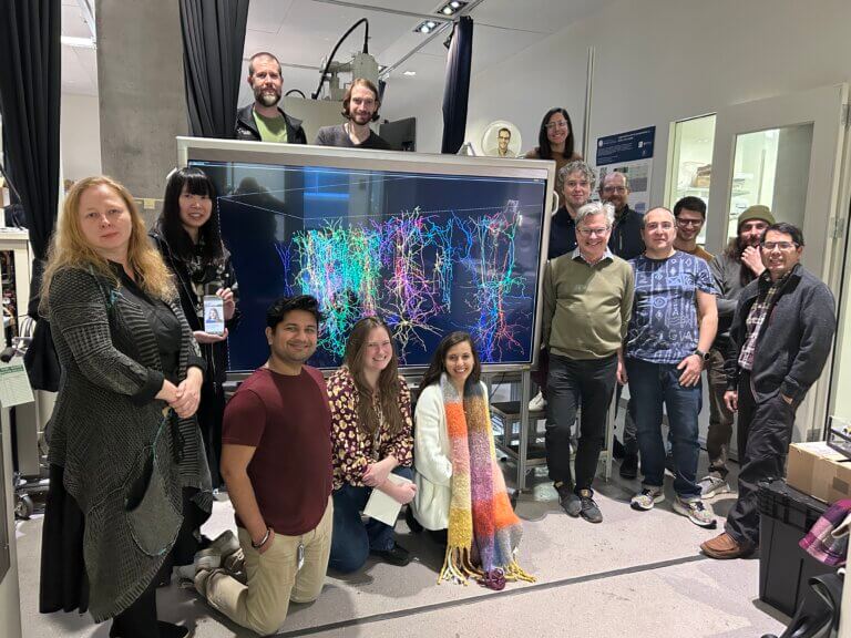 Team of researchers posing with brain scan visualization on large display monitor in laboratory