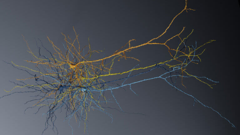 3D illustration of interconnected branching neural networks with golden yellow and blue gradient colors