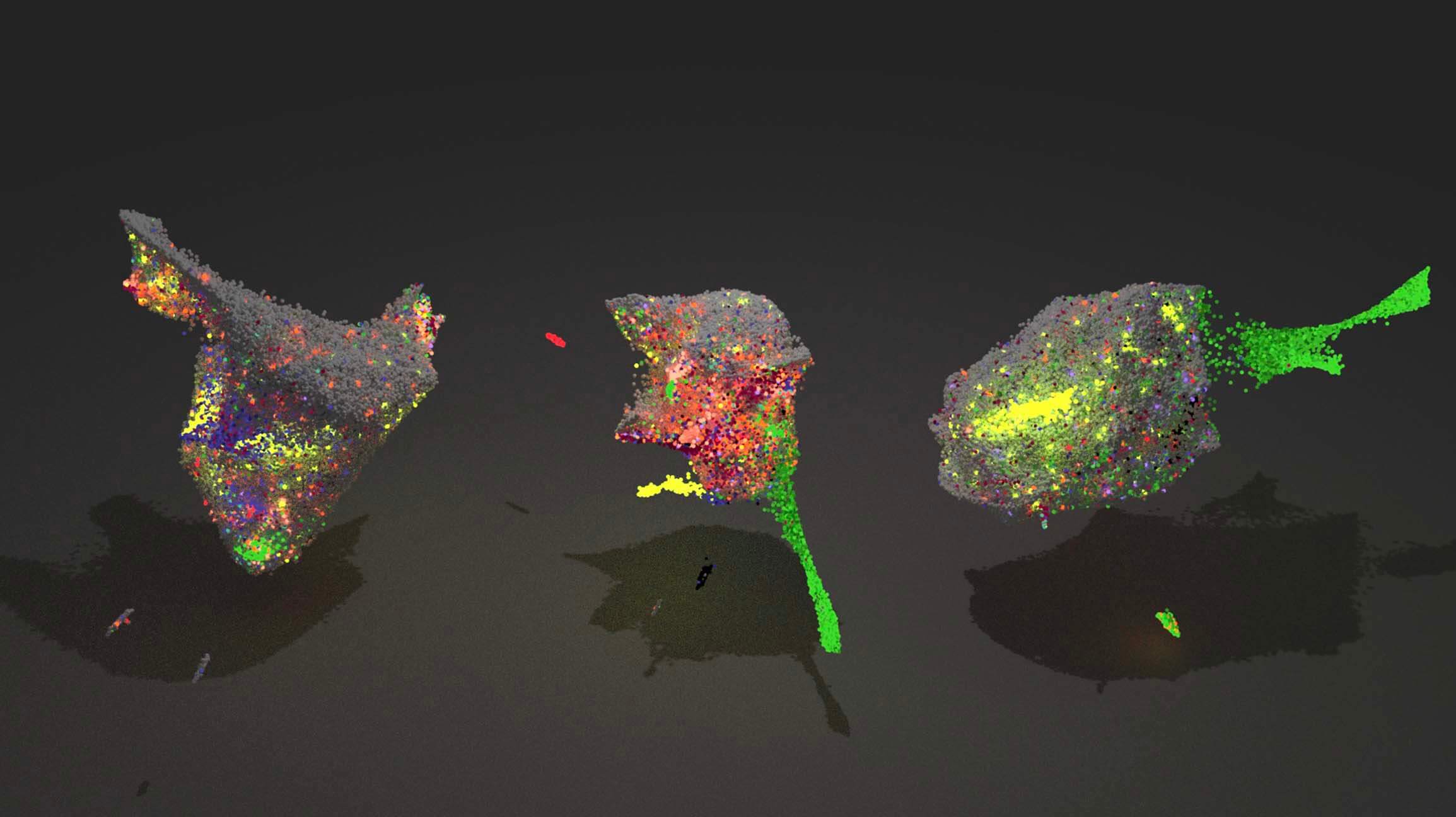 Three colorful heatmaps showing population density across India, displayed as pixelated geographic regions.