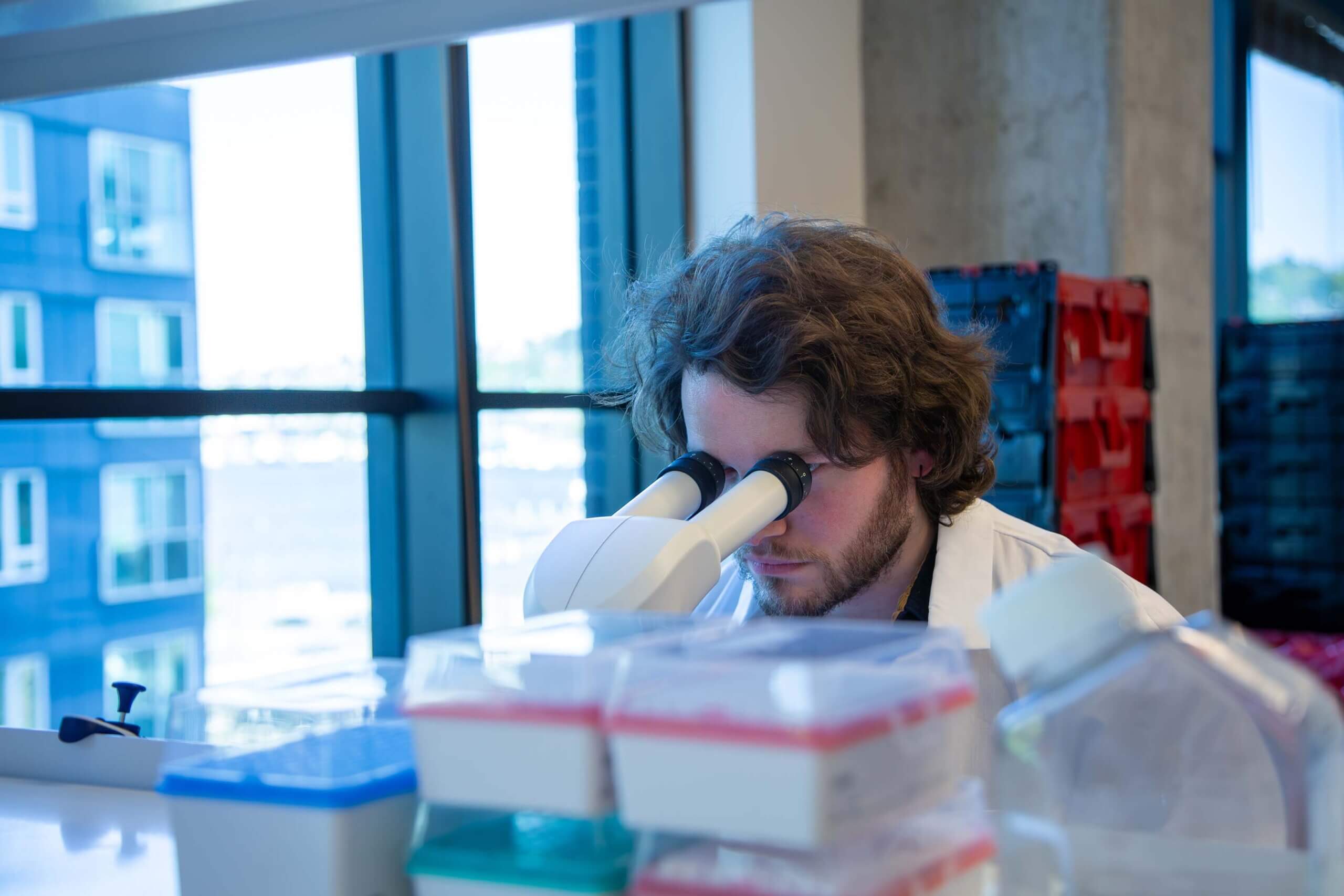 Scientist looking through microscope in bright laboratory with windows and equipment storage