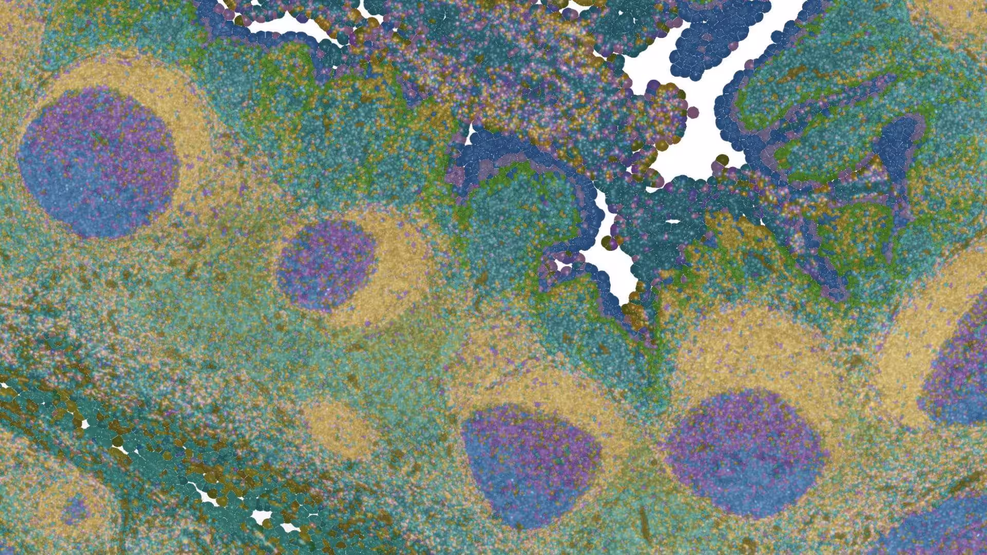 Aerial view of colorful circular forest patches with white water bodies in between