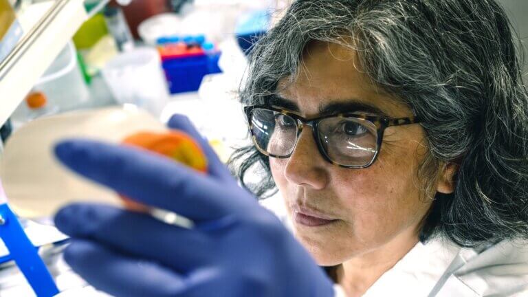 Scientist with glasses examining sample in laboratory with blue gloves