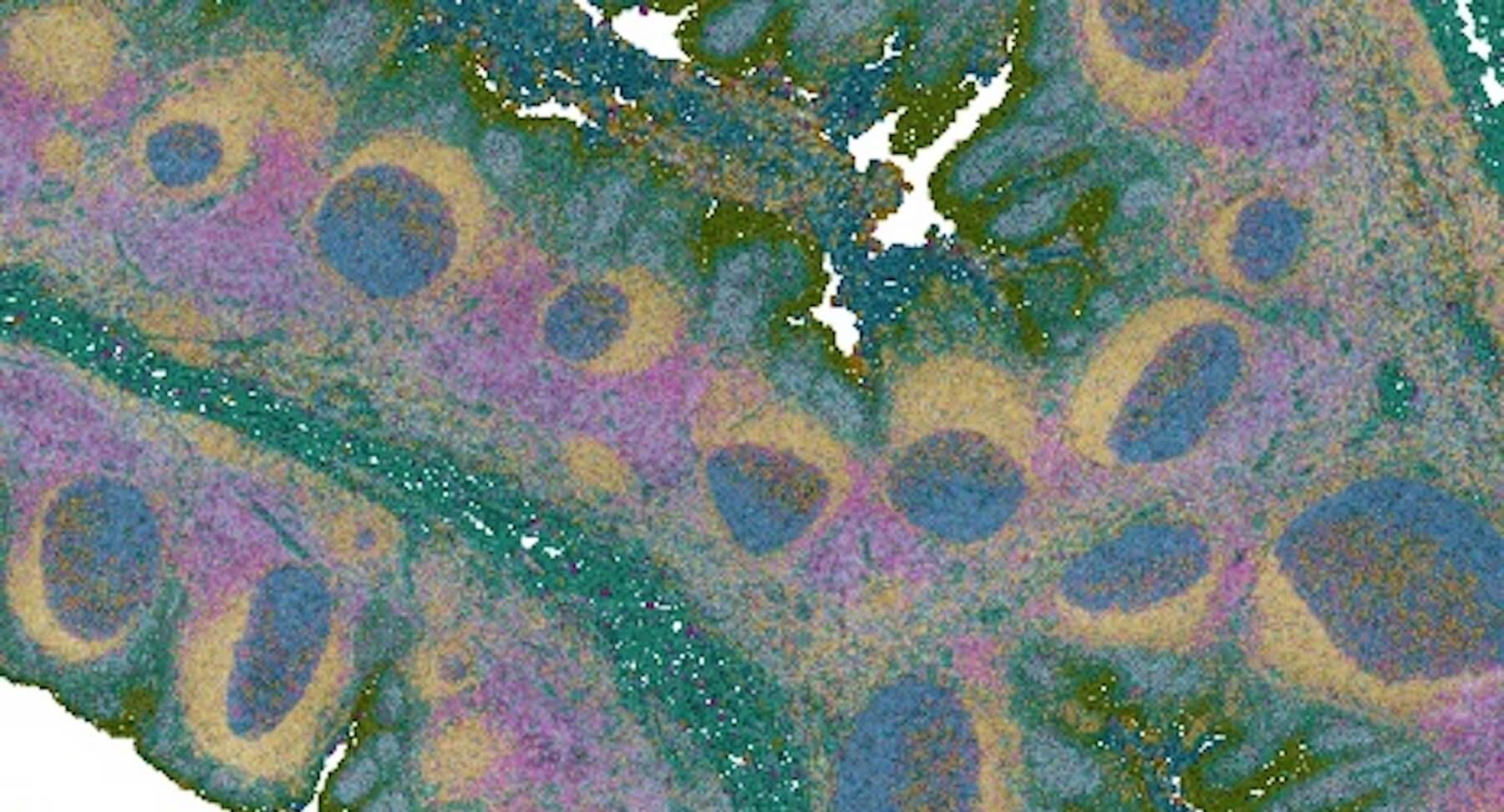 Aerial view of colorful phytoplankton bloom with blue, purple, and gold swirls in ocean water.