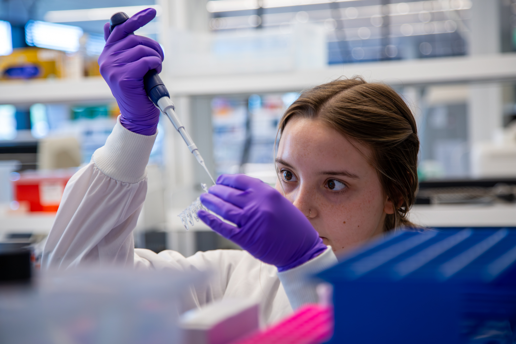 Lab scientist wearing purple gloves pipetting sample in modern research laboratory