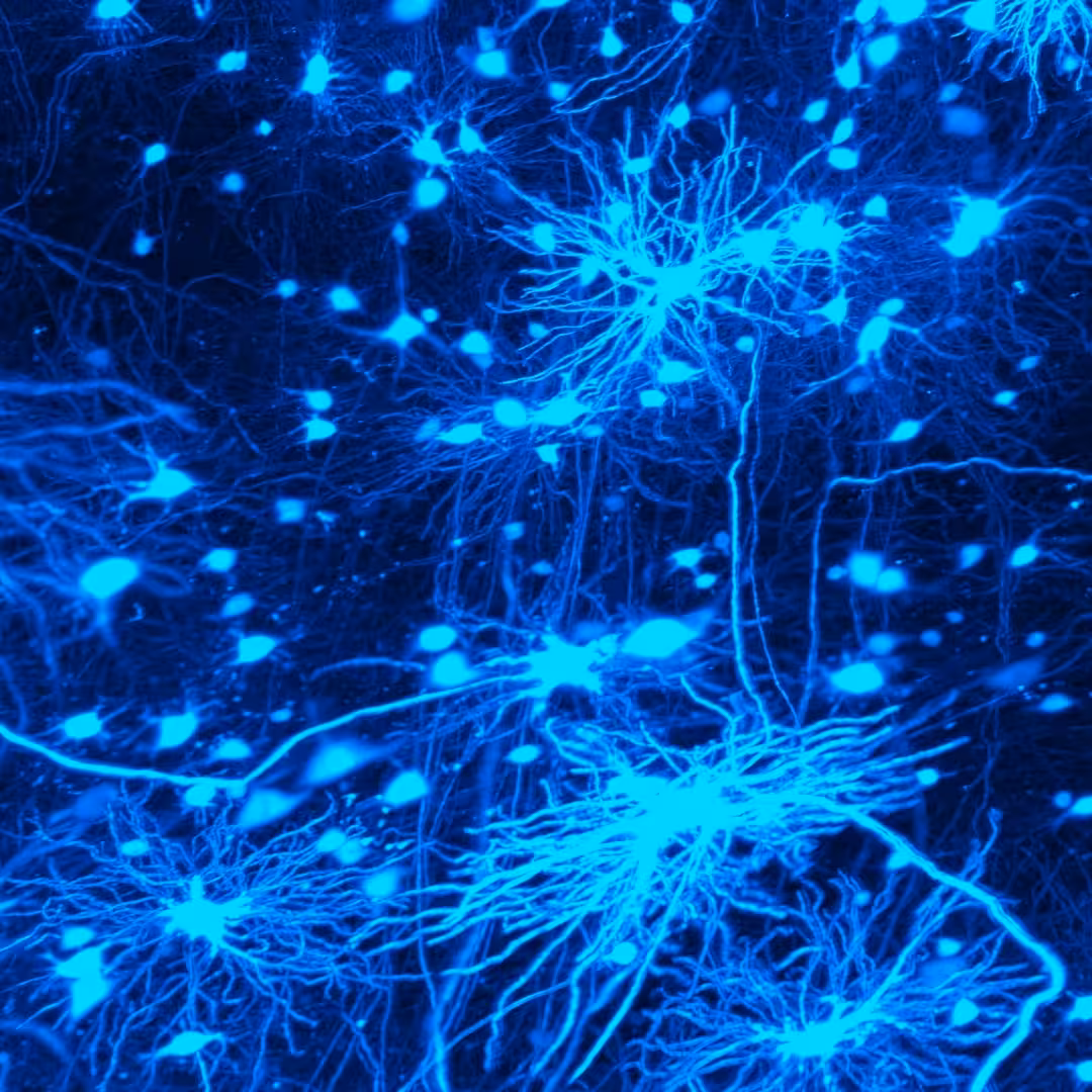 Blue glowing neural network nodes and interconnected pathways on dark background