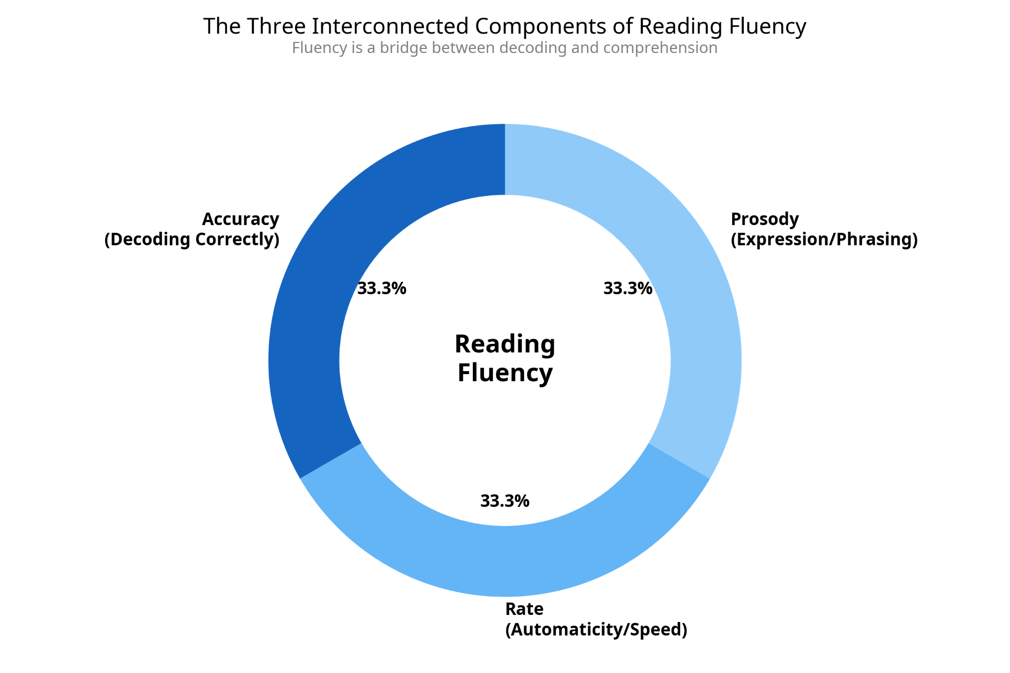 The Three Interconnected Components of Reading Fluency