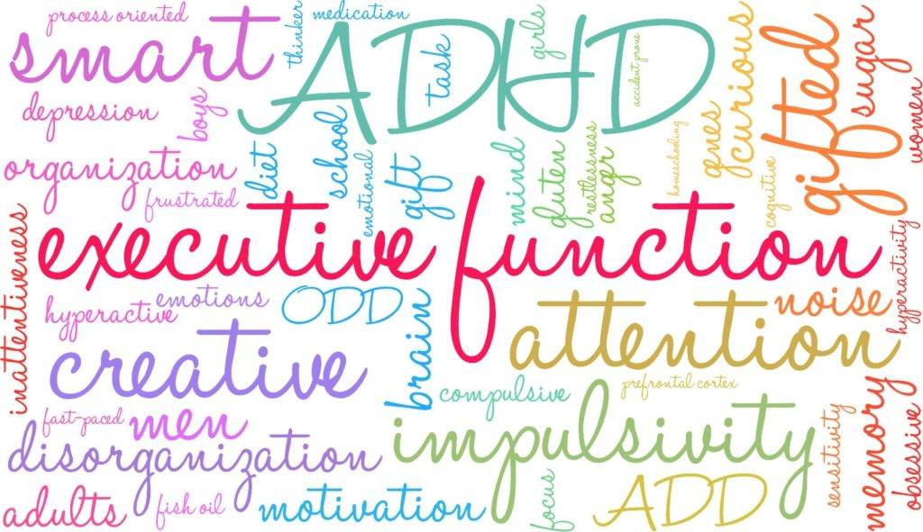 Improve Executive Function Skills