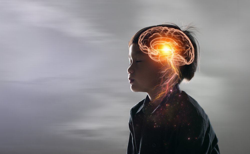 Emotionally Literate Brain
